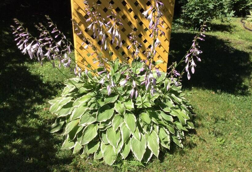 민박 Chez Lulu Et Lutin