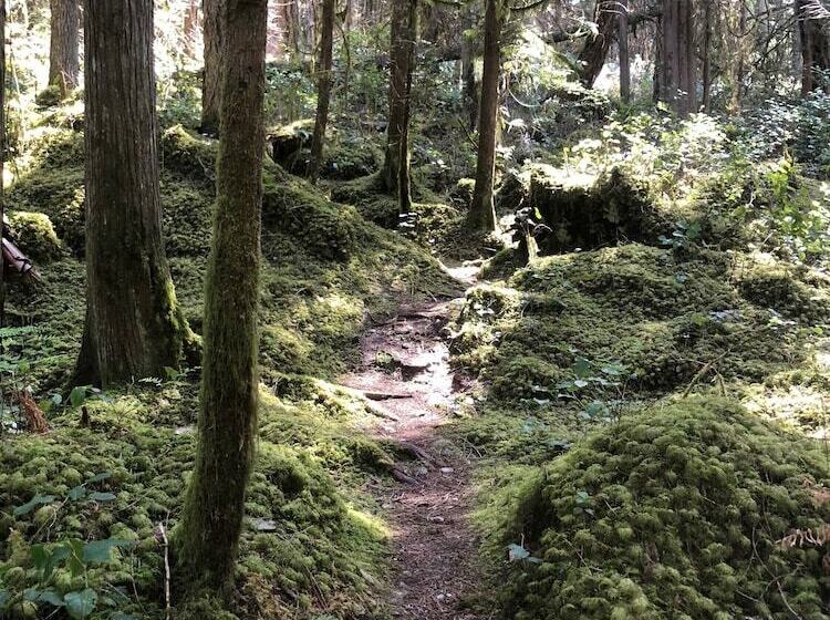 住宿加早餐  Davis Brook Retreat