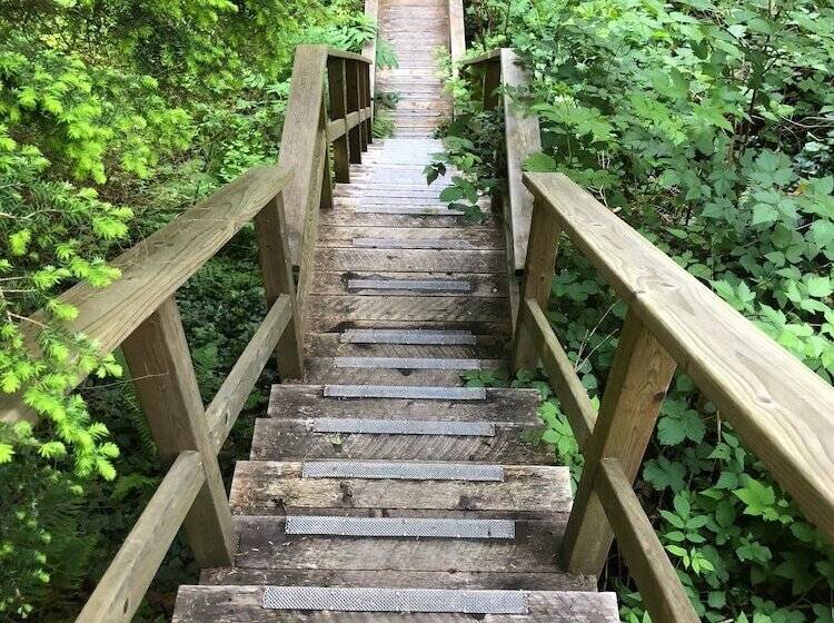 住宿加早餐  Davis Brook Retreat