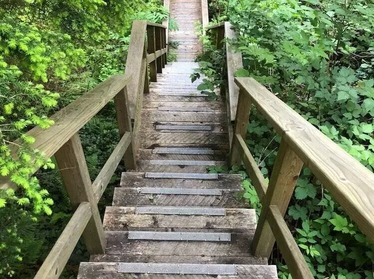 Aamiaismajoitus (B&B) Davis Brook Retreat