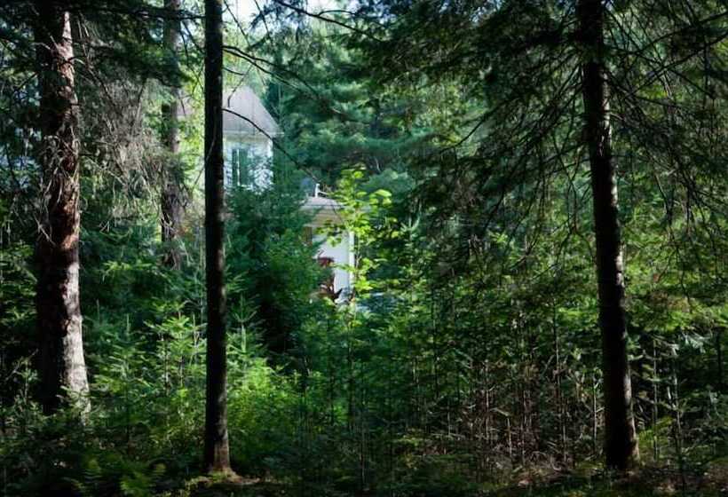 مبيت وإفطار Gîte Crystal Inn