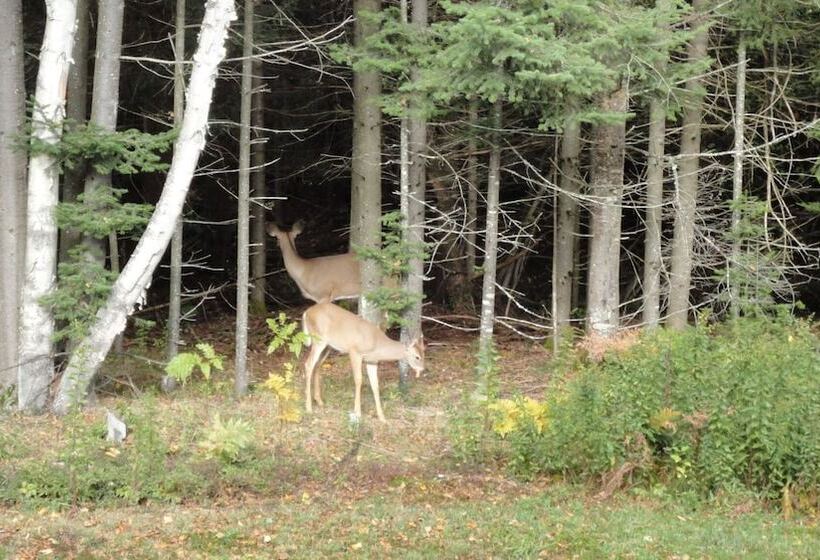 مبيت وإفطار Gîte Crystal Inn