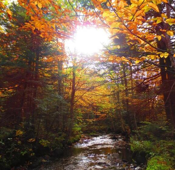 ベッドアンドブレックファースト Le Gîte Ambrelane