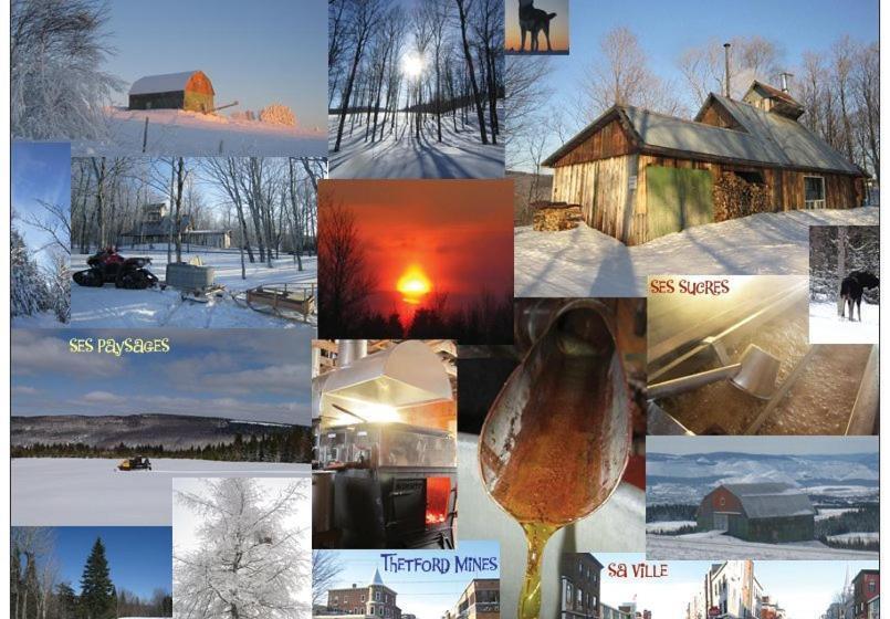 ベッドアンドブレックファースト Le Gîte Ambrelane