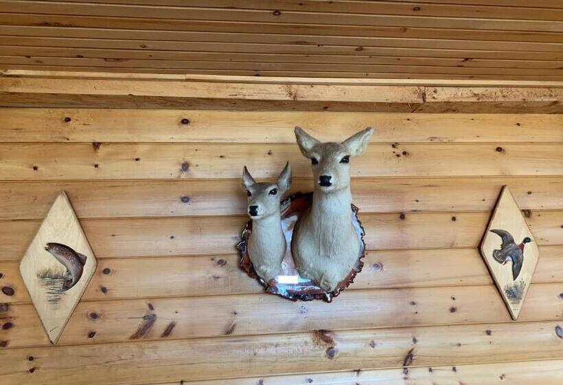 Hopewell Rocks Motel & Country Inn