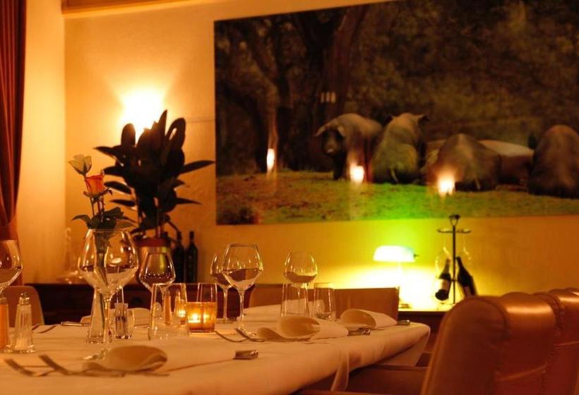 Hotel Auberge Aan Het Hof