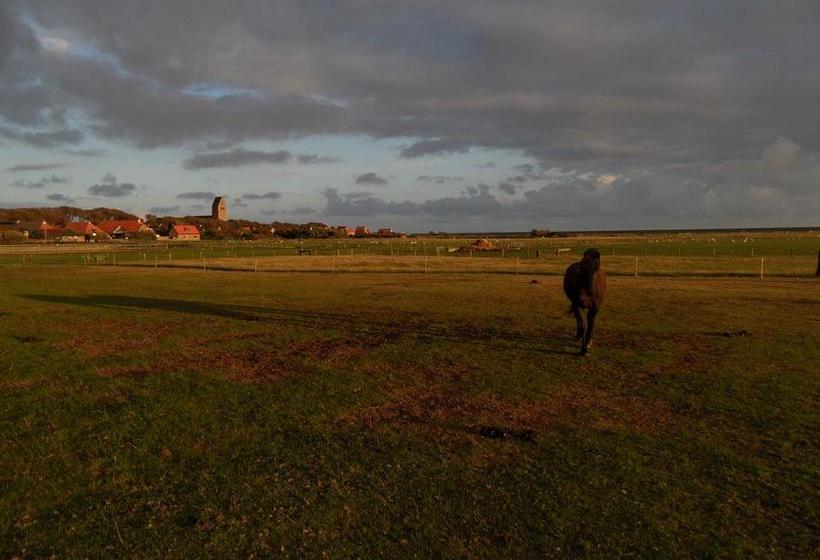 בית מלון כפרי Ambla Appartementen