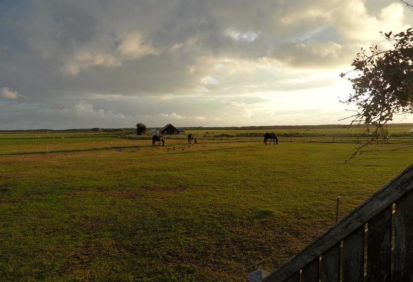 בית מלון כפרי Ambla Appartementen