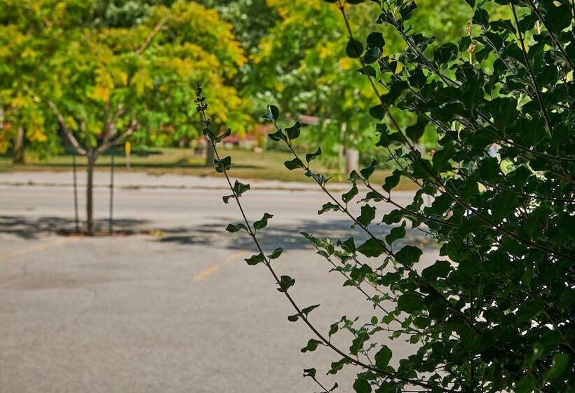 فندق Samuels Boutique