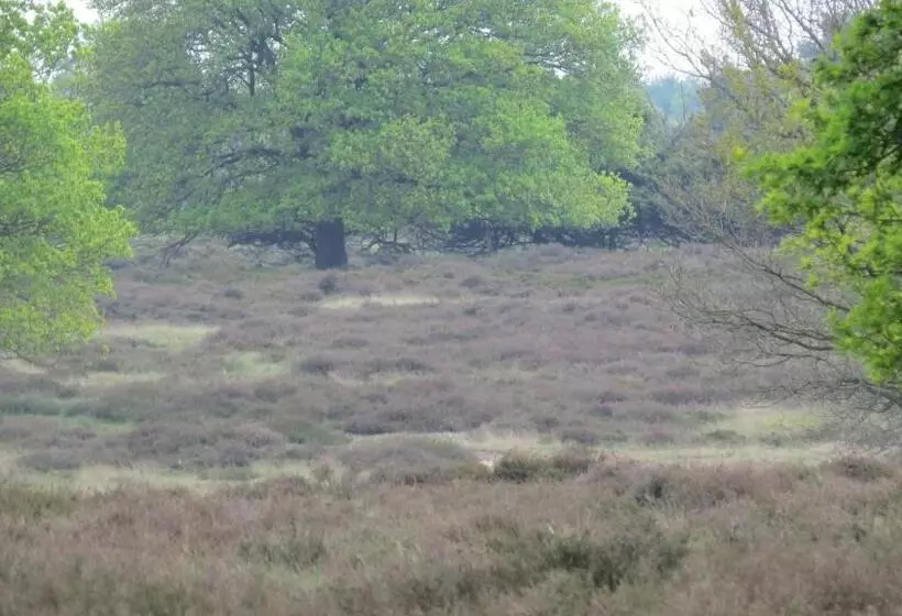 Hotelli T Zwanemeer