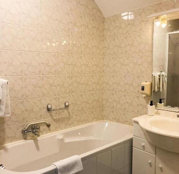 فندق T Zwanemeer