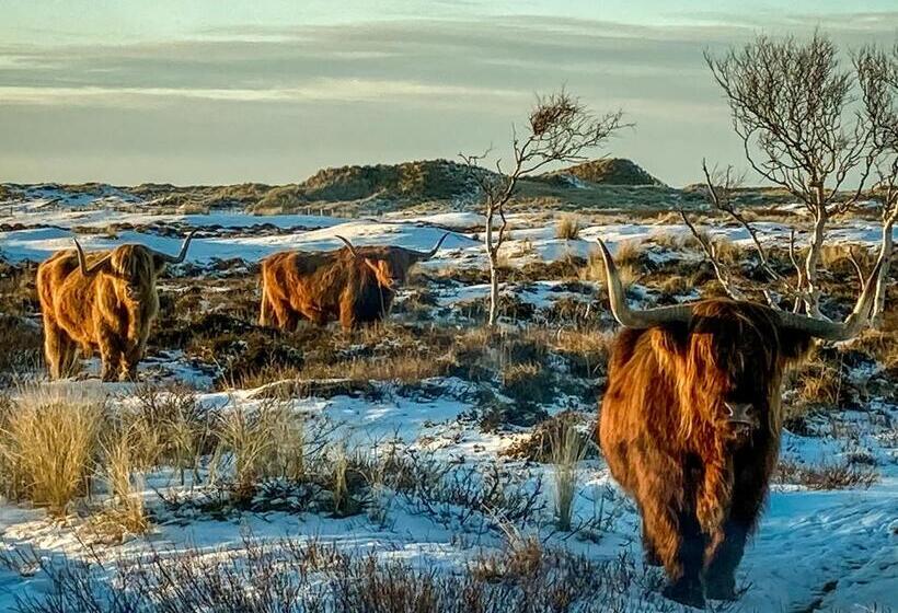Loods Hotel Vlieland