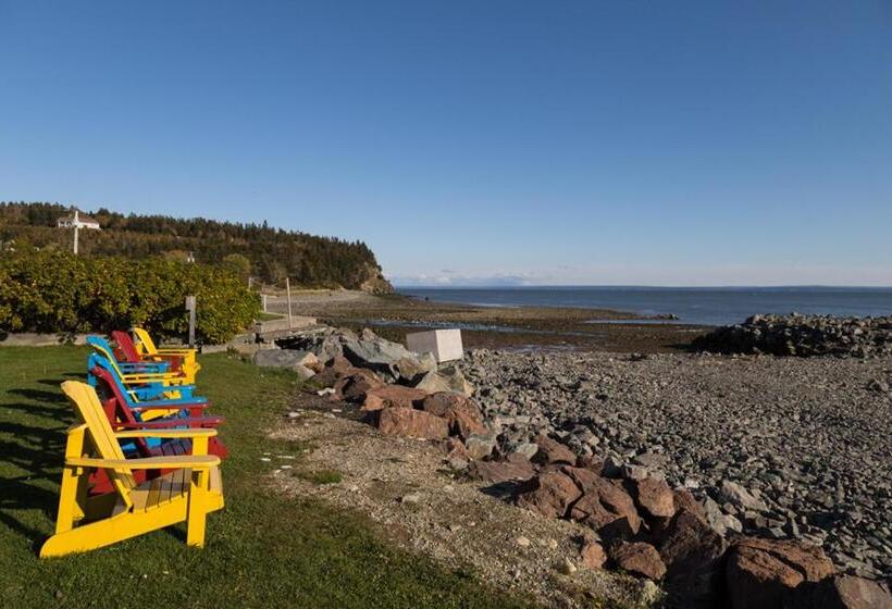 モーテル Alpine Motor Inn