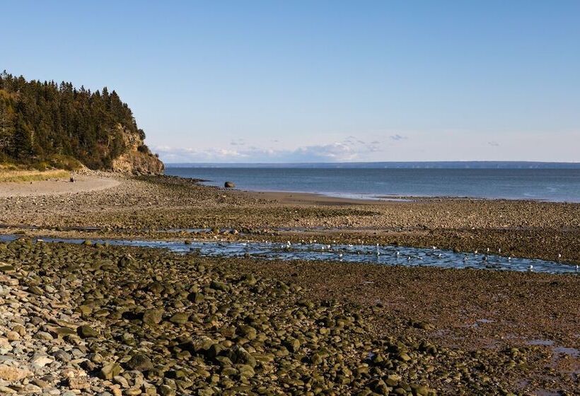 モーテル Alpine Motor Inn