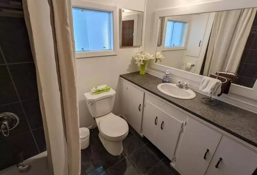 モーテル Deerview Lodge & Cabins   Princeton Bc