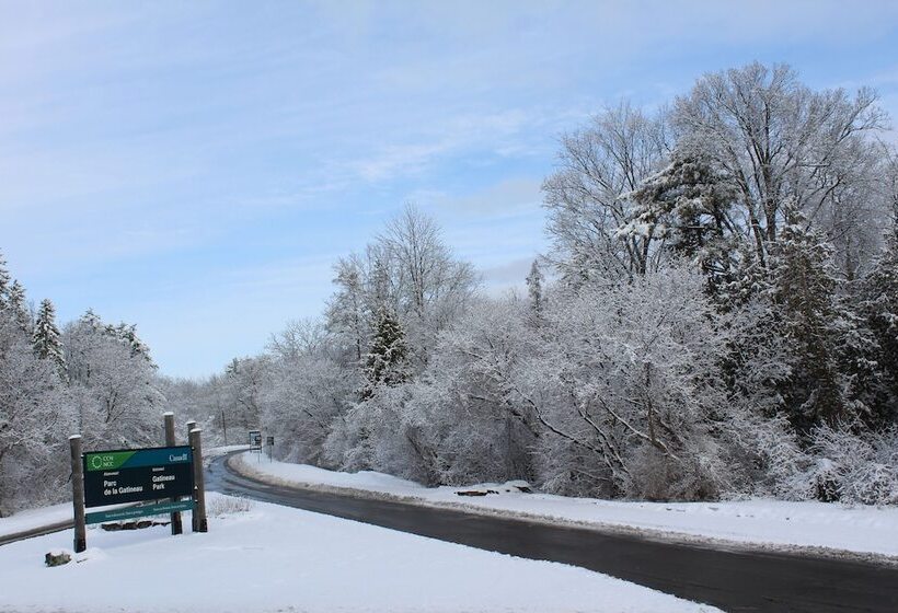 Motel Du Parc Secteur Hull