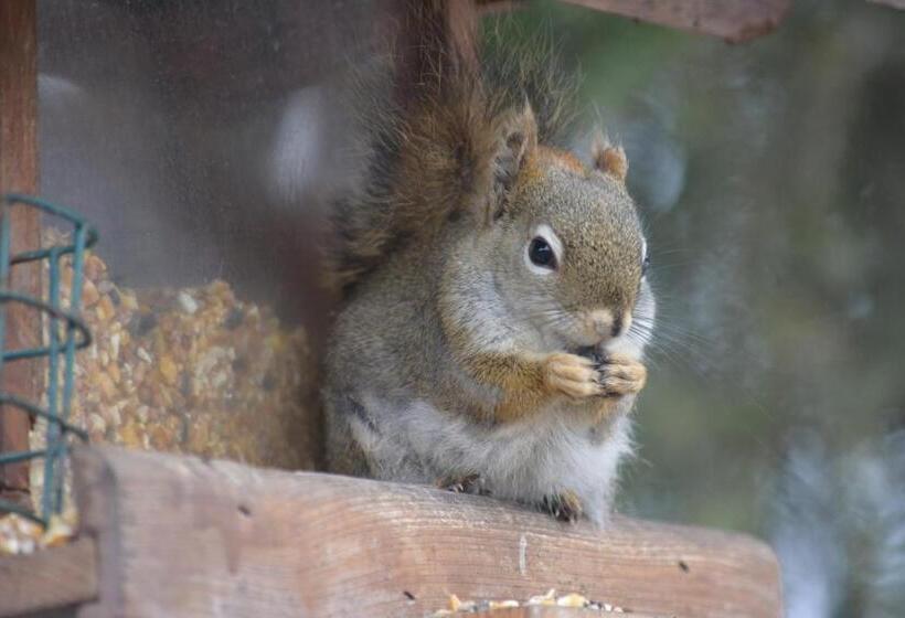 モーテル Northway Motor Inn