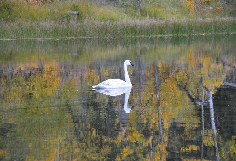 モーテル Northway Motor Inn