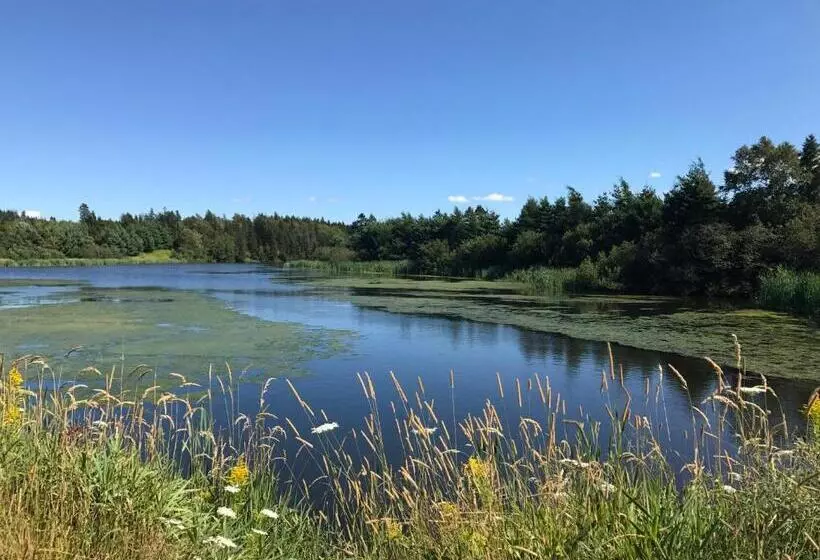 リゾートホテル Blue Crest Cottages