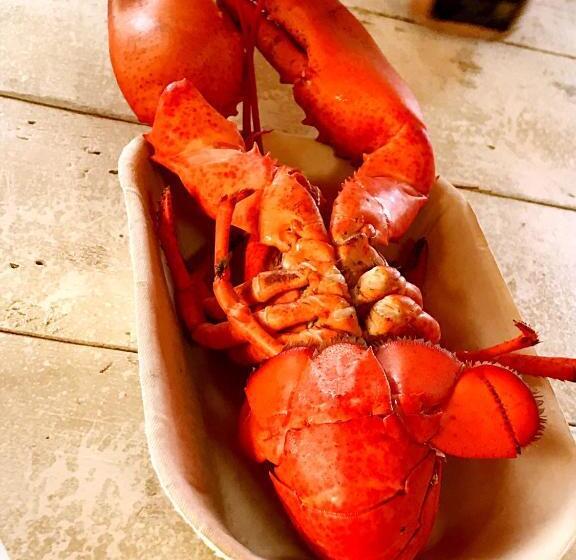 استراحتگاه Blue Crest Cottages