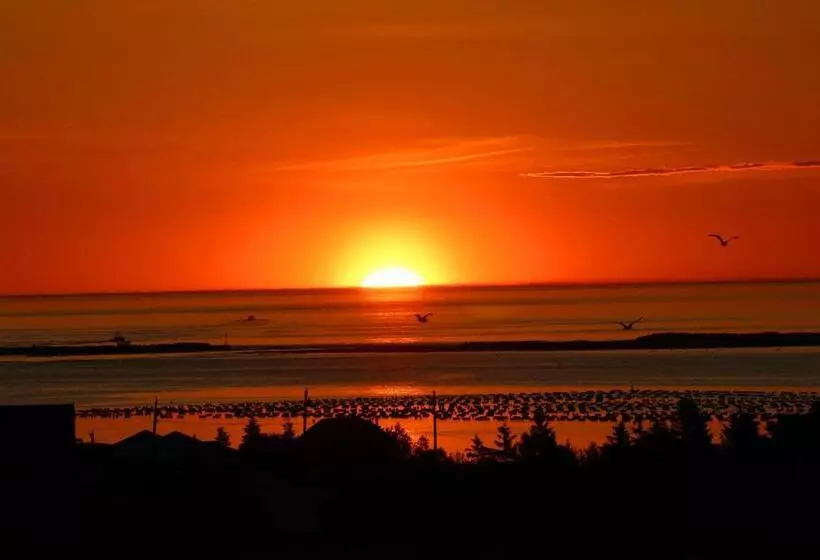 リゾートホテル Blue Crest Cottages