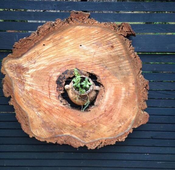 Salt Spring Carriage House B&b