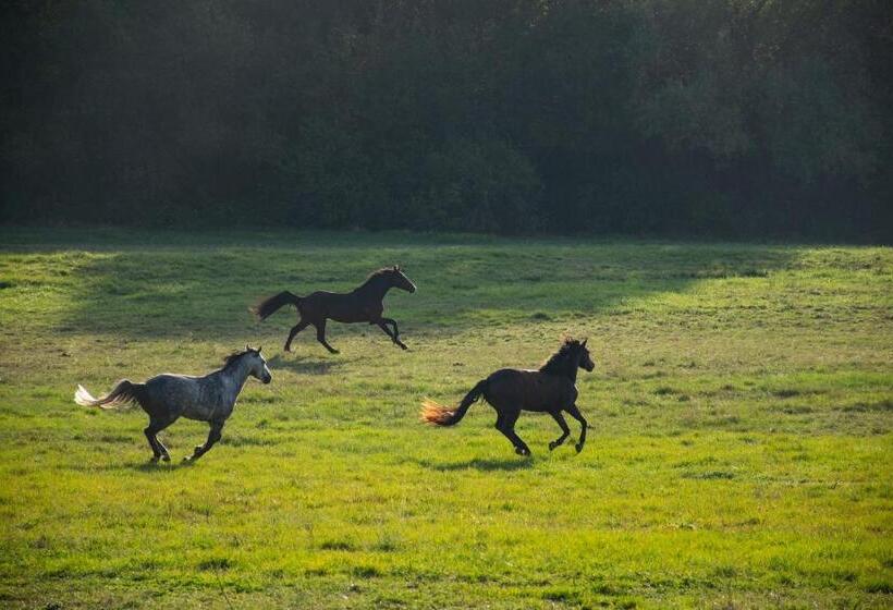 צימר Domaine De Prim    Chambre D Hôtes