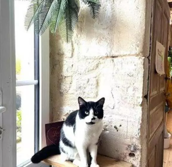 Majatalo Charmant Duplex à La Campagne