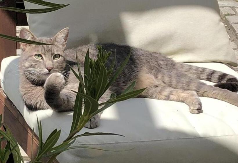 بنسيون Charmant Duplex à La Campagne