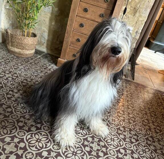 بنسيون Charmant Duplex à La Campagne