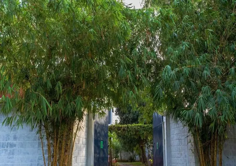 ホテル Ntr Garden