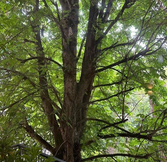 پانسیون Room & Breakfast D Annunzio