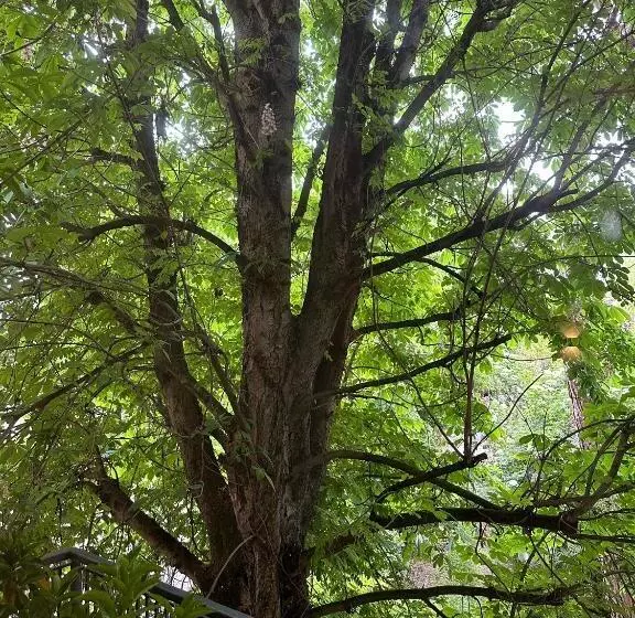 پانسیون Room & Breakfast D Annunzio