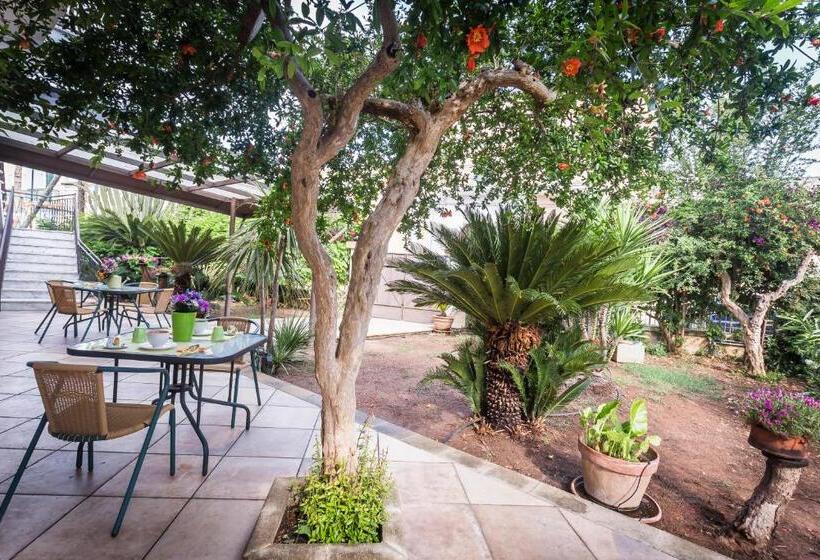 Bed and Breakfast Mandarinoarancio