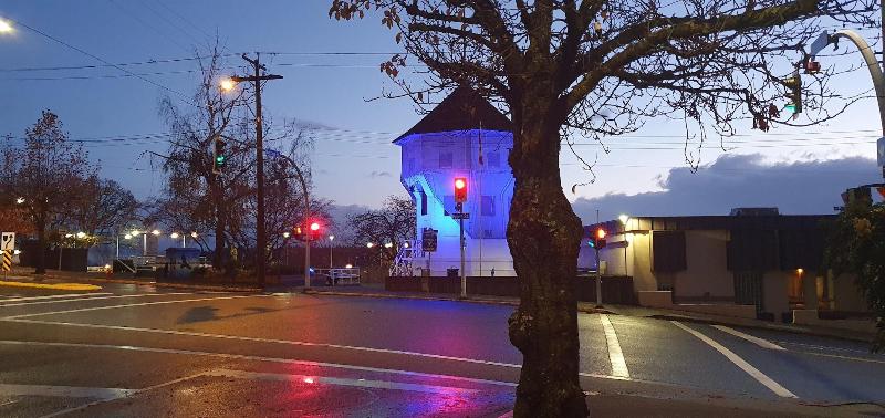 فندق صغير Painted Turtle Guesthouse