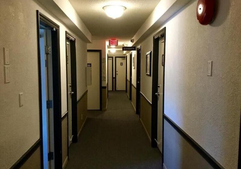 فندق صغير Painted Turtle Guesthouse