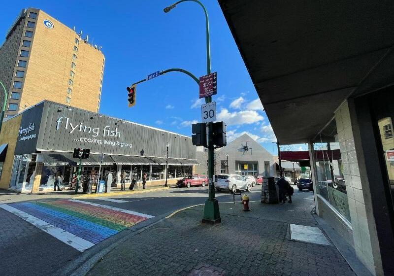 فندق صغير Painted Turtle Guesthouse