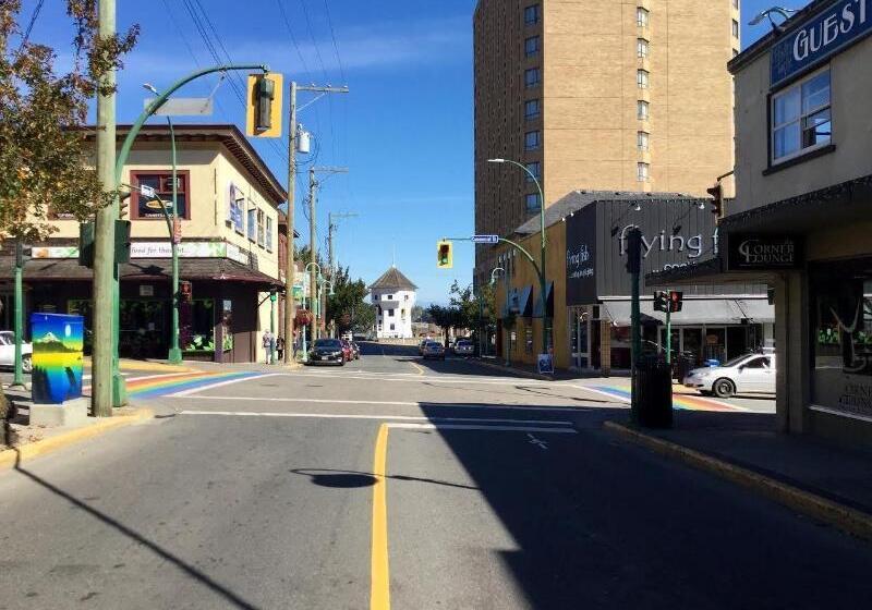 فندق صغير Painted Turtle Guesthouse