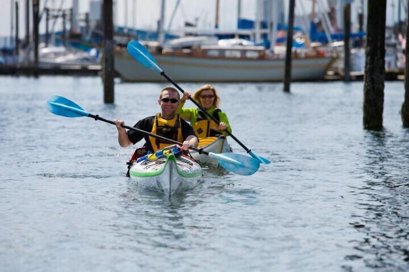 فندق صغير Painted Turtle Guesthouse