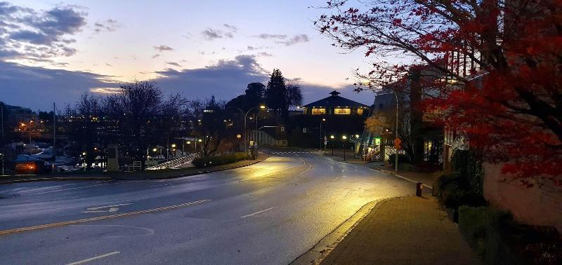 فندق صغير Painted Turtle Guesthouse