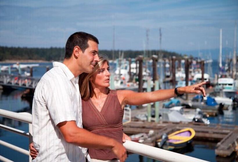 فندق صغير Painted Turtle Guesthouse