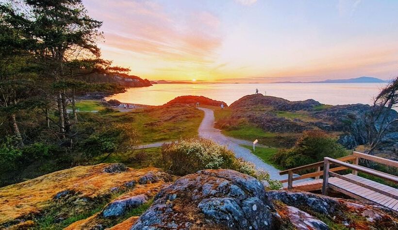 فندق صغير Painted Turtle Guesthouse