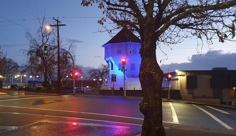 فندق صغير Painted Turtle Guesthouse