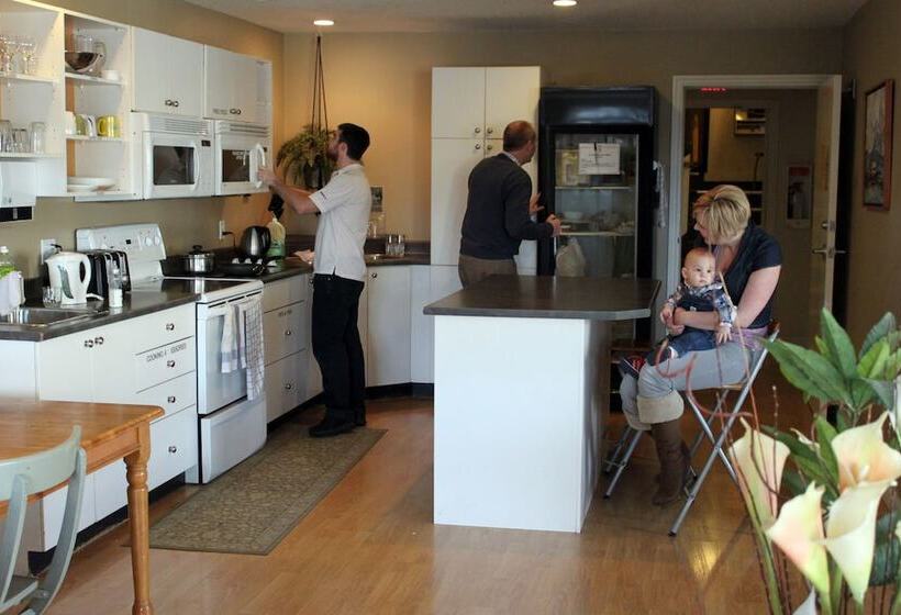 فندق صغير Painted Turtle Guesthouse