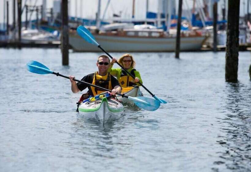 فندق صغير Painted Turtle Guesthouse