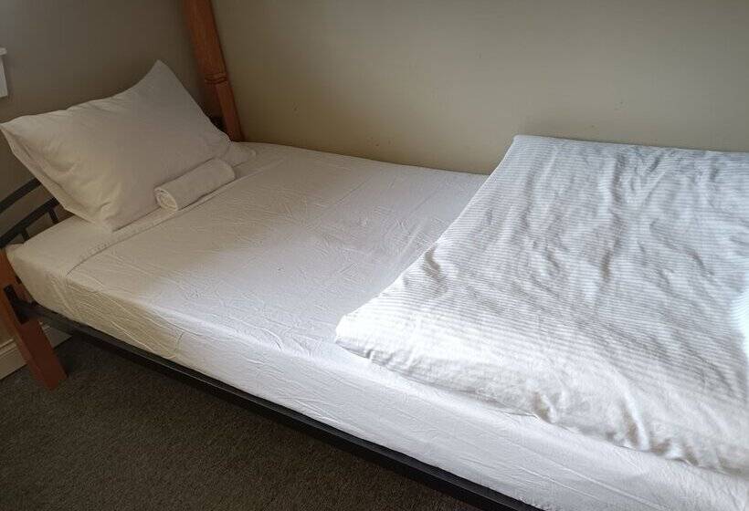 فندق صغير Painted Turtle Guesthouse