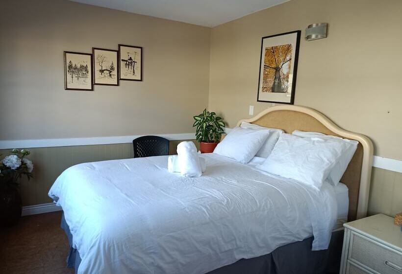 فندق صغير Painted Turtle Guesthouse