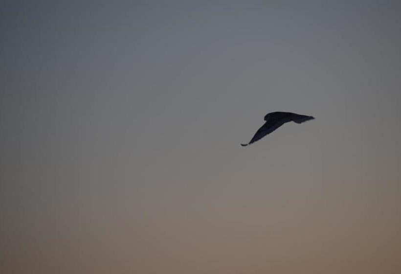 Bed and Breakfast Gîte Aux Jardins De L Anse