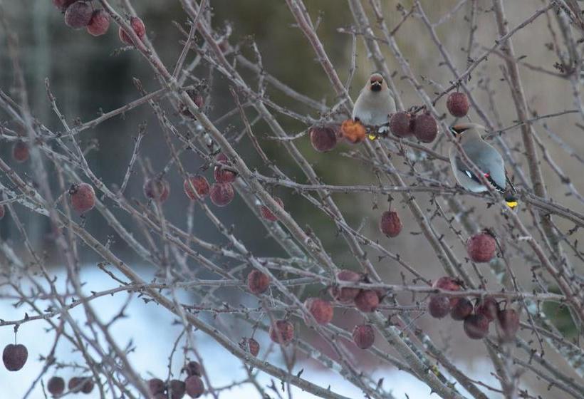 Bed and Breakfast Gîte Aux Jardins De L Anse