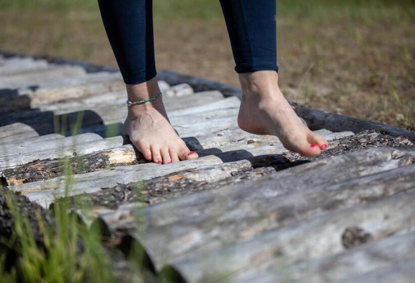 Bed and Breakfast Northern Lights Resort & Spa